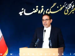 توضیحات سخنگوی قوه قضاییه درباره وضعیت تحقیق و تفحص های صورت گرفته توسط مجلس