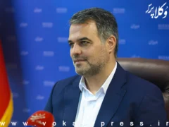 توضیحات سنخگوی قوه قضاییه درباره پرونده‌های دی‌ماه ۱۴۰۴
