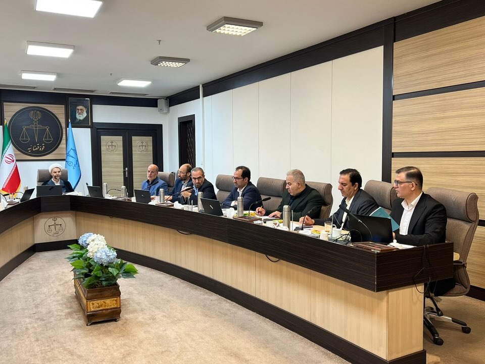 دیدار مدیران نهاد وکالت و کارشناسی رسمی با معاون اول قوه قضائیه