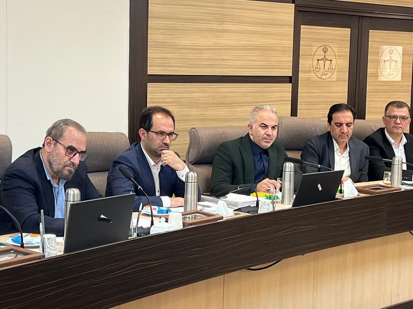 دیدار مدیران نهاد وکالت و کارشناسی رسمی با معاون اول قوه قضائیه