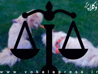 دستورالعمل دادستانی یزد برای ممنوعیت سگ‌گردانی
