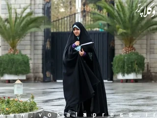 معاون رئیس جمهور در امور زنان و خانواده زهرا بهروزآذر