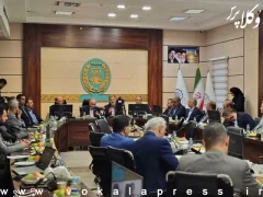 پیشنهاد «وکالت خانواده» برای کاهش اختلافات و دعاوی خانوادگی