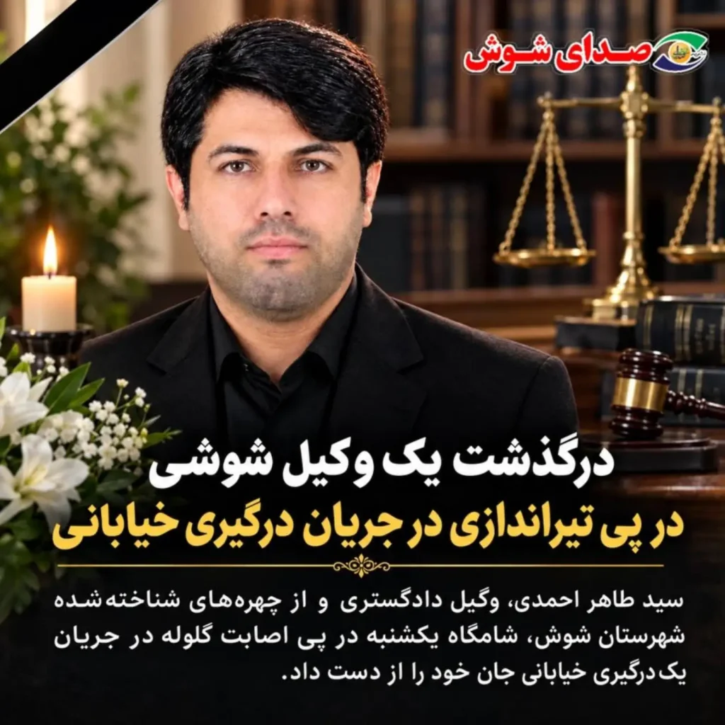 سید طاهر احمدی، وکیل دادگستری